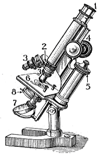 microscope